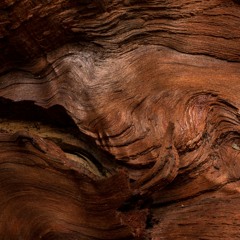 Redwood (Mash up)