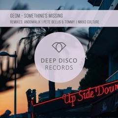 GeoM - Something's Missing (Nikko Culture SaxRemix)