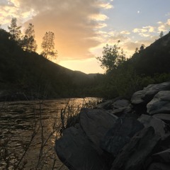 Compressed Mine-d Demo