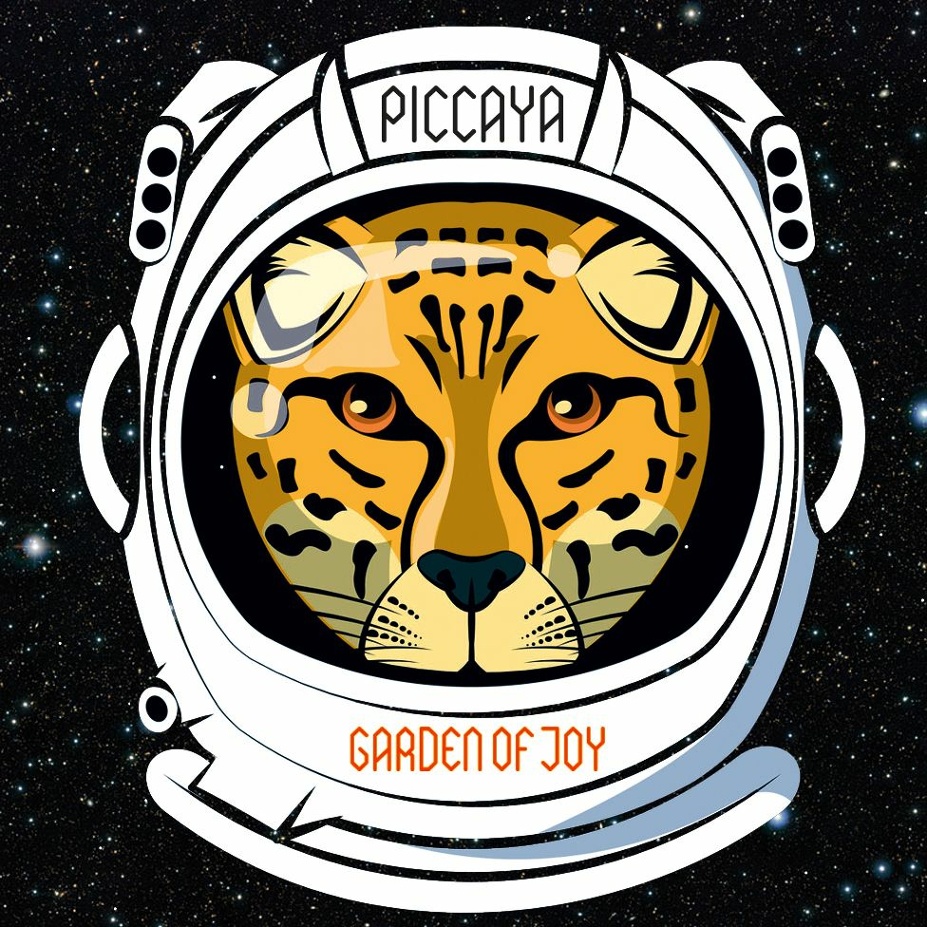 Piccaya