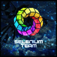 Dynamic Illusion @ SeleniumTeam & OMR Presents StereOMantra Album Launch [2018-04-28]