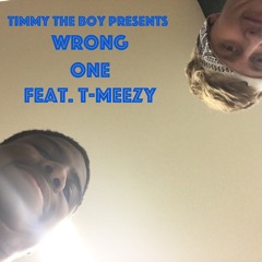 Wrong One (feat. T-Meezy) [prod. by RellyMade x Mr Wilson]