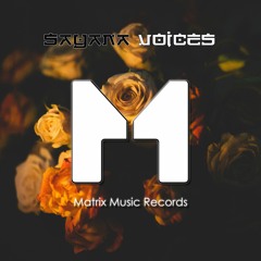 Voices (feat. Steelyvibe)