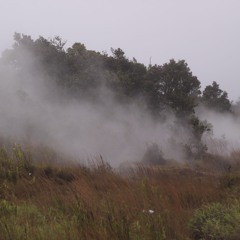 Exsanguin8 - Pele Beckens Us