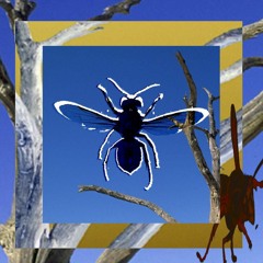 whhp -- Милувався видом з сухого дерева, але прилетіли шершні