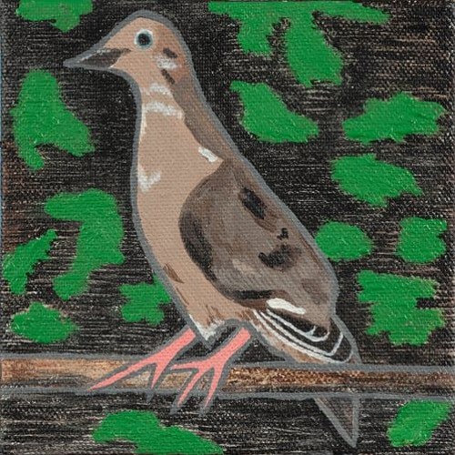 Mourning Dove ILY v1