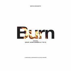 Burn (Remix) (feat. Dom Green & T*E*F)