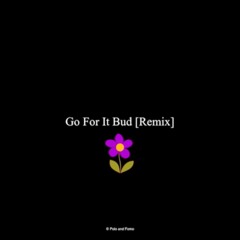 Go For It Bud [Remix]