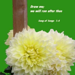 Hymns