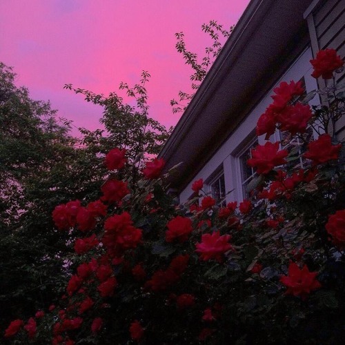 Anywhere But Here interlude