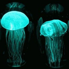 Lumos (Prod. TejiOne)