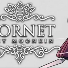 Hornet (Hollow Knight Cover)by: Lazy Moonkin