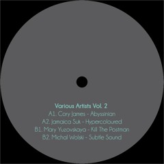 B2. Michal Wolski - Subtle Sound - MOFF004 (Full Stream)