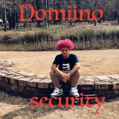 Security - Domiino
