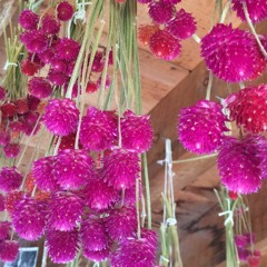 REYNOLDS // ROOF (instrumental)