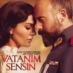 Bir Fırtına Tuttu Bizi (Haluk Levent)