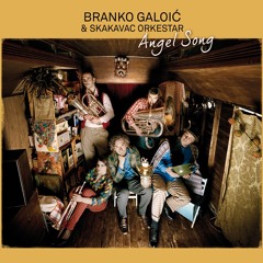 "Davolje Ples (Devil's Dance" by Branko Galoic & Skakavac Orkestar