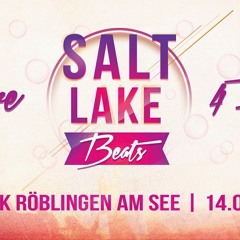 Rodek live @10Jahre Salt Lake Beats 2018 Seepark Röblingen mp3