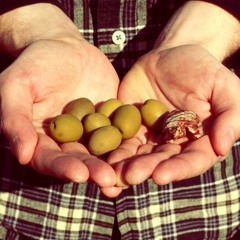 Turtlenecktie - Temporary