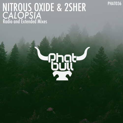 Stream Nitrous Oxide & 2sher - Calopsia (Radio Edit) by Phatbull | Listen  online for free on SoundCloud