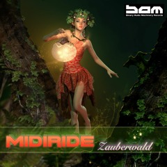 Midiride - Zauberwald (Binary Audio Machinery Records)