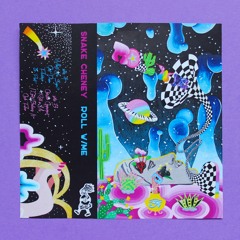 snake cheney | i can't believe it