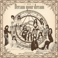 WJSN - Dreams Come True X Secret '꿈꾸는 마음으로X비밀이야' MASHUP