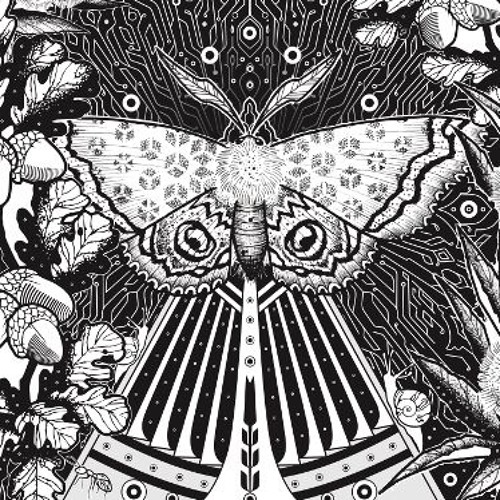Freqs of Nature 2018