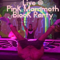 DJ Brian Live At Pink Mammoth Block Party