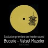 Descargar video: 💥 Exclusive premiere on feeder sound: Bucurie - Valsul Muzelor (Edit x Otaku)