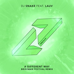 DJ Snake - A Different Way(Briezman Festival Remix)(Cut Version) [FREE DOWNLOAD]