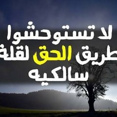 فى طريق الحق سيروا لحن جديد استوديو المنشد أبو عاب(MP3_128K).mp3