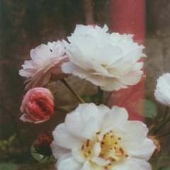 Labria- sending my love *COVER Snippet*