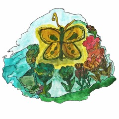La Frontera