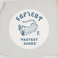 Fastest Shoes