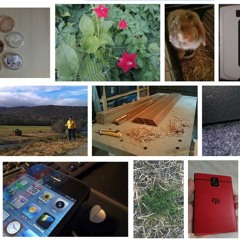 Vibe to this blunt 5