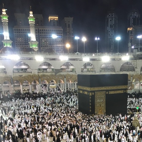 تلاوة بديعة من سورة هود للشيخ د.بندر بليله فجر الإثنين 3-11-1439هـ
