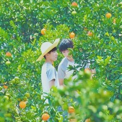 [CSWM] Mười Bảy - Vương Nguyên