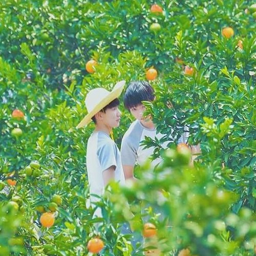 [CSWM] Mười Bảy - Vương Nguyên