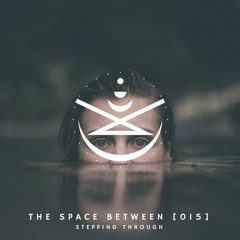 The Space Between [015] - Stepping Through (Live in Miami)