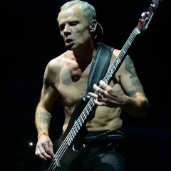 BASS FACE Set(7/14/2018)