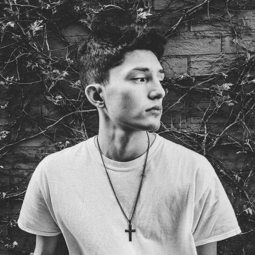 The Collection (All My  Music)