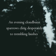 Trembling Evening - naviarhaiku236