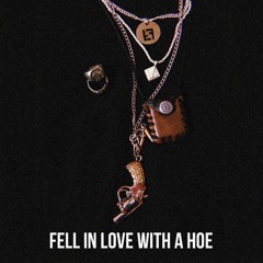 Fell In Love With A Hoe