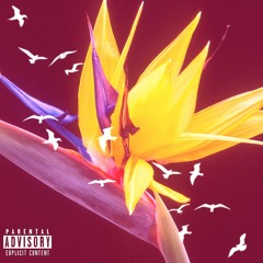 Impossible | Elijah Rushin & Dreu