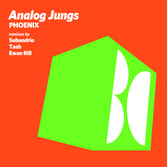 Analog Jungs - Mirfak (Original Mix)