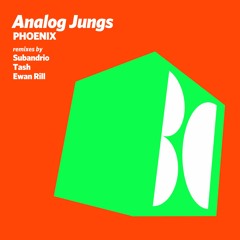 Analog Jungs - Phoenix