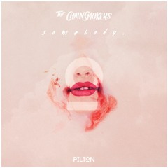 The Chainsmokers - Somebody (Pilton Remix)