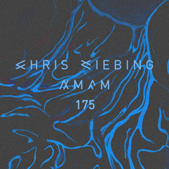 am/fm | 175