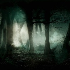 DeepStep Podcast III